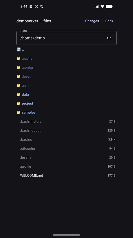 The remote filesystem browsed over SFTP