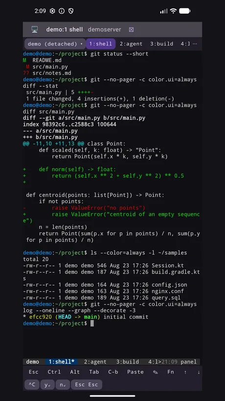Terminal showing a tmux window strip, coloured git status and a diff